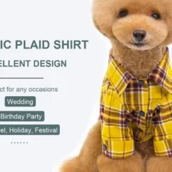 Xmas Mart Sales -Xmas Mart Sales 616sEtg28YL. AC SL1500