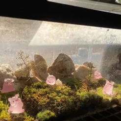 12Pieces Mini Resin Glow Pig Mini Portrait Mini Fairy Garden Landscape Aquarium Decorative Pot Decoration DIY Christmas Birthday Party Clay Amulet (Pink) -Xmas Mart Sales 61UbwhnBq L. AC SL1000