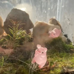 12Pieces Mini Resin Glow Pig Mini Portrait Mini Fairy Garden Landscape Aquarium Decorative Pot Decoration DIY Christmas Birthday Party Clay Amulet (Pink) -Xmas Mart Sales 61YVVKX6Z9L. AC SL1000