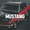 A Picture Book Of Mustang: An Amazing Collection With Compelling Photos Of Mustang To Give On Thanks Giving, Christmas, New Year, And So On Paperback – Large Print, September 29, 2022 -Xmas Mart Sales 61itm8fdeUL. SL1000
