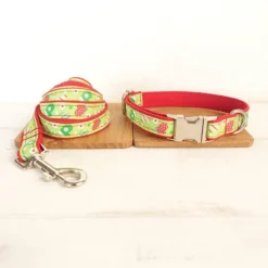 Yisatann Dog Collar Leash Nylon Christmas Dog Collar Leash Pet Necklace Adjustable Dog Collars For Big Small Dogs-M -Xmas Mart Sales 61vnWhPhERL. AC SL1000