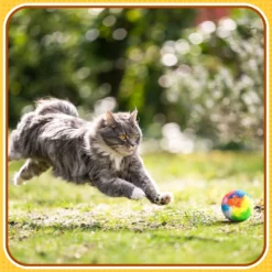 20 Pcs Christmas Cat Ball Toy Kitty Yarn Puffs Assorted Color Small Cat Toy Plush Kitty Soft Balls Cat Pom Pom Balls Fuzzy Kitty Balls For Pet Cat Kitten Kitty 1.6 Inch In Diameter -Xmas Mart Sales 710y6BQTRiL. AC SL1500