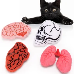 Petsinurarea Anatomical Catnip Toys Halloween Cat Toys Heart Brain Chew Bite Resistant Toys For Cats Boredom Relief Teeth Cleaning Interactive Cat Toys Catnip Filled Christmas Cat Lover Gift Set Of 4