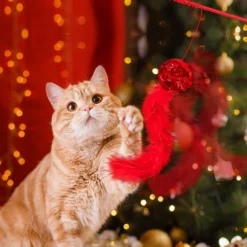 Whaline 17pcs Christmas Cat Toys Stocking Cat Stick 7 Cat Playing Balls Roller Bell 2 Mice Plush Snowman Plush Pepper Plush Christmas Tree Xmas Candy Pompoms Training Supplies For Pet -Xmas Mart Sales 71JSns0bQUL. AC SL1500