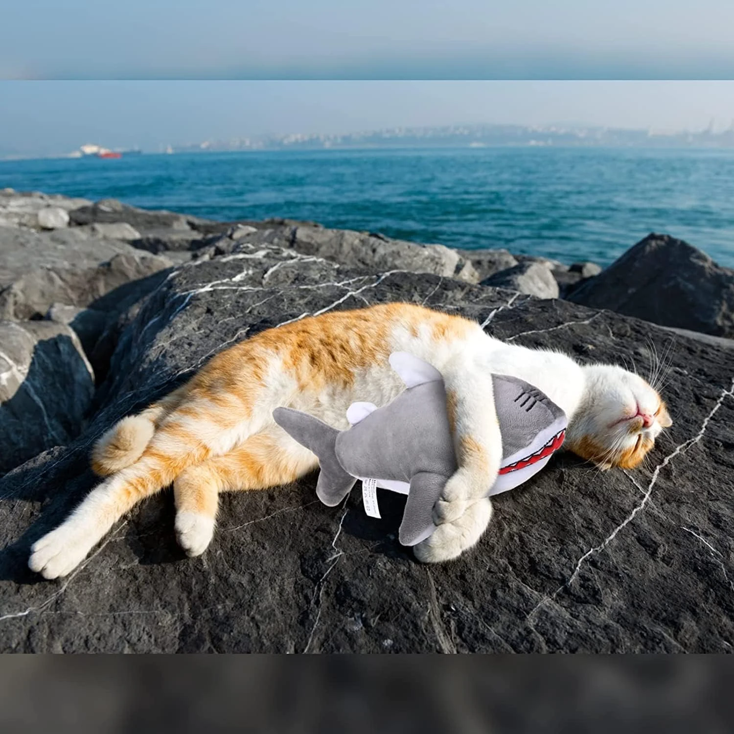 SCENEREAL Flopping Fish Cat Toy For Interactive, Automatic Moving Cat Toys, Electric Shark Shape Cat Toys Christmas Chew Supplies For Indoor Cats 9 SCENEREAL Flopping Fish Cat Toy For Interactive, Automatic Moving Cat Toys, Electric Shark Shape Cat Toys Christmas Chew Supplies For Indoor Cats - Image 7