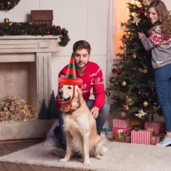 Kobit Christmas Ring Toss Game Set Inflatable Christmas Tree Headband Inflatable Xmas Witch Hat With Pump Target Game Toys For Kids Family Christmas Party Game -Xmas Mart Sales 71aZwKio0gL. AC SL1500