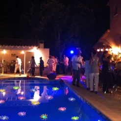 LOGUIDE Floating Pool Lights,Lily Pad Pond Light LED Lotus Flower Lamp,Battery Operated Multicolor Fun Pool Accessories For Pool At Night-Outdoor Swimming Gifts Christmas Decorations-6 Pcs(Dragonfly) -Xmas Mart Sales 71bXOw2DRoL. AC SL1500