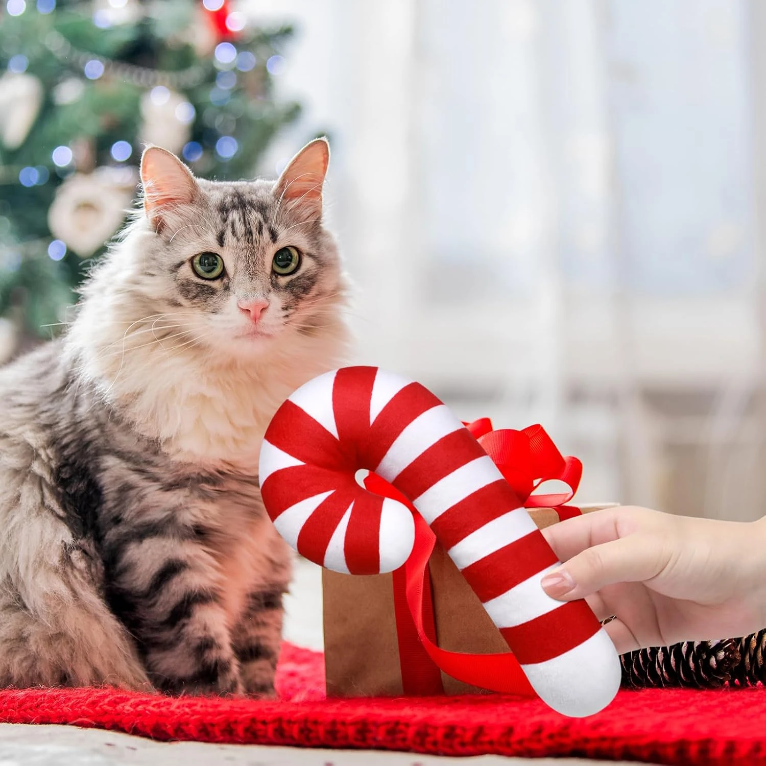 Jenaai 4 Pcs Christmas Catnip Cat Toys, Candy Cane Cat Chew Toy Bite Resistant Catnip Toys For Cats, Catnip Filled Cat Soft Interactive Teething Toy Durable Cat Pillow Gift For Indoor Cat, Kittens 5 Jenaai 4 Pcs Christmas Catnip Cat Toys, Candy Cane Cat Chew Toy Bite Resistant Catnip Toys For Cats, Catnip Filled Cat Soft Interactive Teething Toy Durable Cat Pillow Gift For Indoor Cat, Kittens - Image 3
