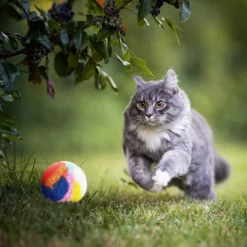 20 Pcs Christmas Cat Ball Toy Kitty Yarn Puffs Assorted Color Small Cat Toy Plush Kitty Soft Balls Cat Pom Pom Balls Fuzzy Kitty Balls For Pet Cat Kitten Kitty 1.6 Inch In Diameter -Xmas Mart Sales 71j9XziHBCL. AC SL1500