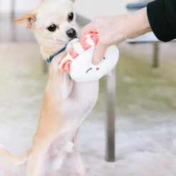 Pearhead Sushi Toys, Plush Squeaky Dog Toy Set, Pet Owner Must Have Dog Accessory, Pet Set, Holiday , Christmas Pet Stocking Stuffer, Set Of 3 -Xmas Mart Sales 71xs8WCxL. AC SL1500