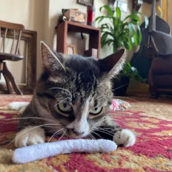 Smokey's Stash Christmas Cat Toys Stocking Catnip Toys Sisal Rope Kitten Toys For Cats 14 Smokey's Stash Christmas Cat Toys Stocking Catnip Toys Sisal Rope Kitten Toys For Cats -Xmas Mart Sales 81PkUOEUAoL. AC SL1500