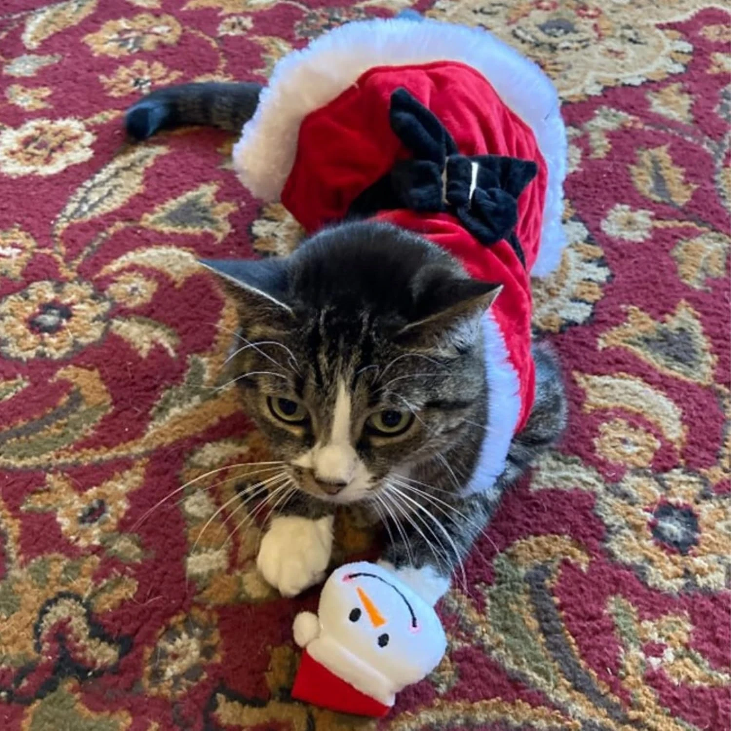 Smokey's Stash Christmas Cat Toys Stocking Catnip Toys Sisal Rope Kitten Toys For Cats 9 Smokey's Stash Christmas Cat Toys Stocking Catnip Toys Sisal Rope Kitten Toys For Cats - Image 7